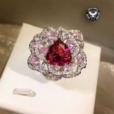 انگشتر نقره سلطنتی S827   خانه 859,000.00 859,000.00 859,000.00 859,000.00