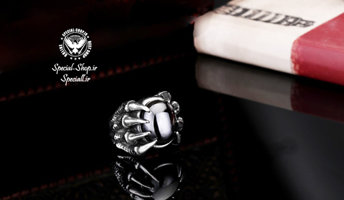 پنجه دراگون فروشگاه خاص